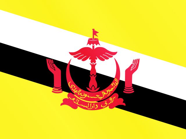 Imagen de la bandera nacional