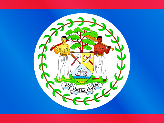 Bild der Landesflagge